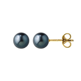 Gold studs with black Akoya pearls
