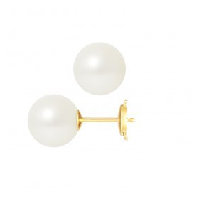 18k gold Alpa stud earrings with freshwater pearls