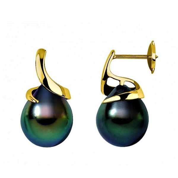 Vaiena 18K Gold earrings with Tahitian pearls