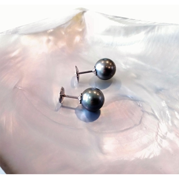 Alpa 18k gold stud earrings with Tahitian pearls