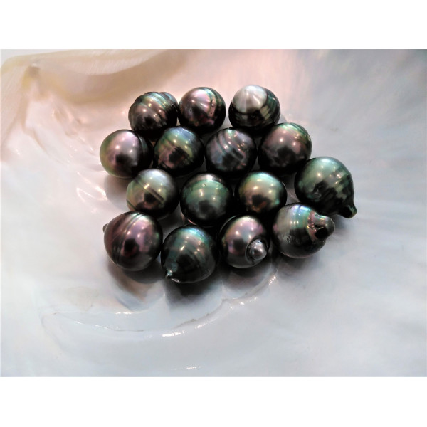 Tahitian circled pearl leather necklaces