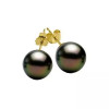 Oceane Tahitian pearl 18k gold ear studs