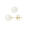 Pink or white  cultured pearl gold ear studs