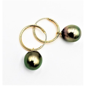 Nina Tahitian pearl gold earrings