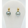 Boucles d'oreilles or jaune 18k perles de Tahiti Elise