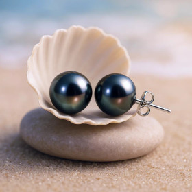 Perles de Tahiti Rondes sur Clous Argent 925 posées dans un coquillage