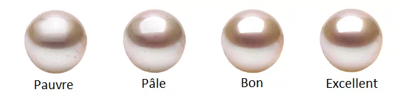 Illustration Lustre des Perles